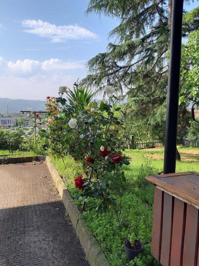 Albergue La Costana 奥维耶多 外观 照片